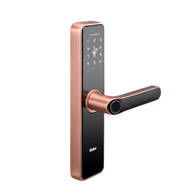 Qubo Smart Door Lock