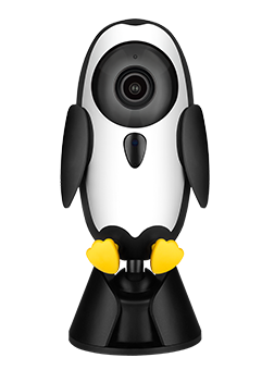 Qubo Smart Cameras